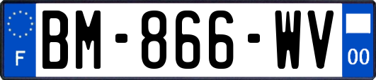 BM-866-WV