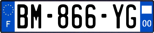 BM-866-YG