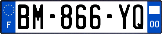 BM-866-YQ