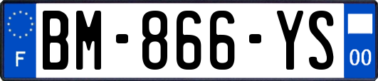 BM-866-YS