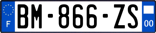 BM-866-ZS