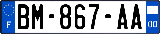 BM-867-AA