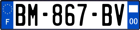 BM-867-BV