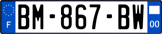 BM-867-BW