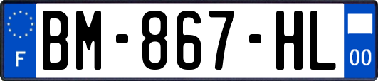 BM-867-HL