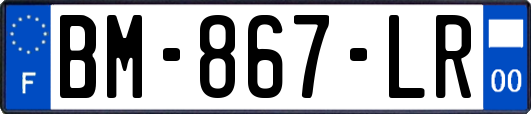 BM-867-LR