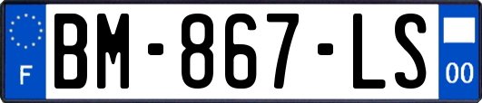 BM-867-LS