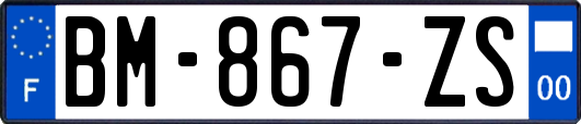 BM-867-ZS