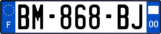 BM-868-BJ