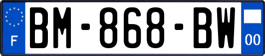 BM-868-BW