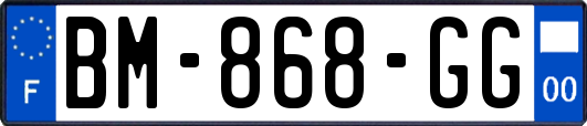 BM-868-GG