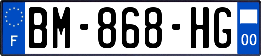 BM-868-HG