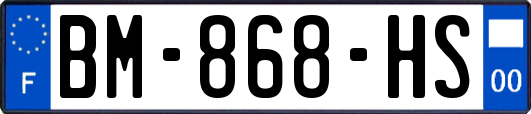 BM-868-HS