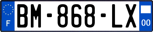 BM-868-LX