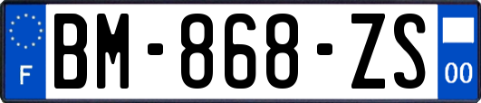 BM-868-ZS