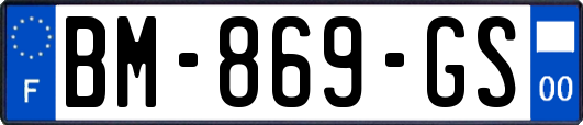 BM-869-GS