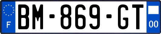 BM-869-GT