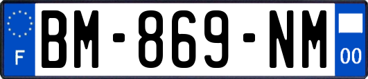 BM-869-NM