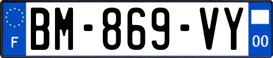 BM-869-VY