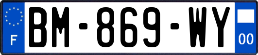 BM-869-WY