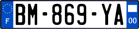 BM-869-YA