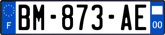 BM-873-AE