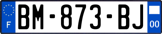 BM-873-BJ