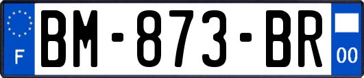 BM-873-BR