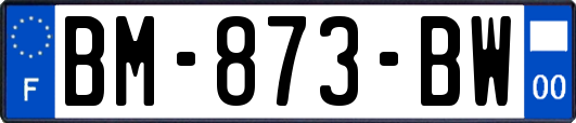 BM-873-BW