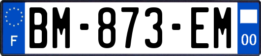 BM-873-EM