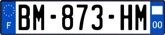 BM-873-HM