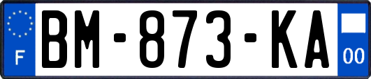 BM-873-KA