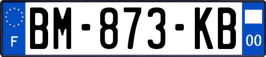 BM-873-KB