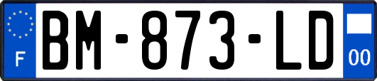 BM-873-LD