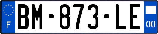 BM-873-LE