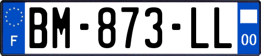 BM-873-LL