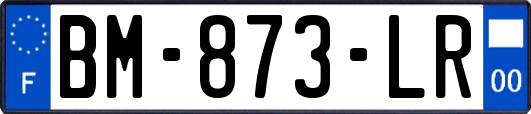 BM-873-LR