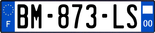 BM-873-LS