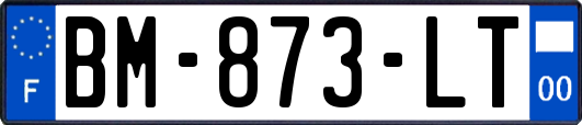 BM-873-LT