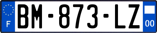 BM-873-LZ