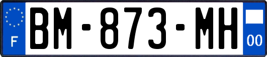 BM-873-MH