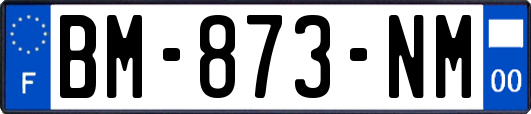 BM-873-NM