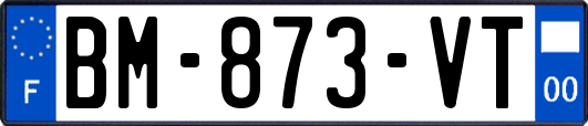 BM-873-VT