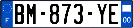 BM-873-YE