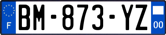 BM-873-YZ