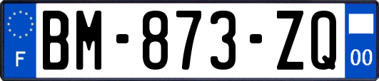 BM-873-ZQ