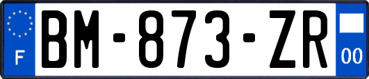 BM-873-ZR