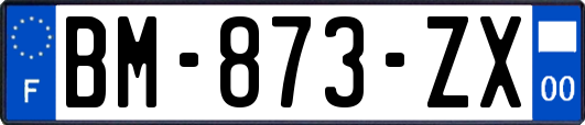 BM-873-ZX