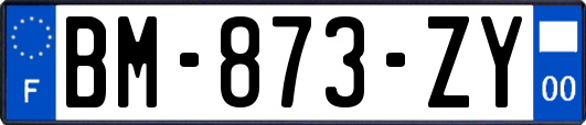 BM-873-ZY