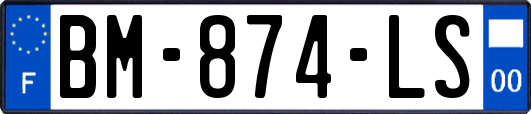 BM-874-LS